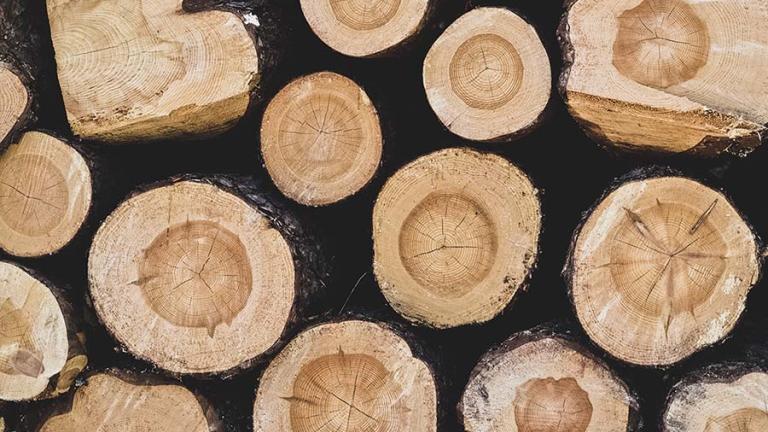 Clasificación de la Calidad de la Madera