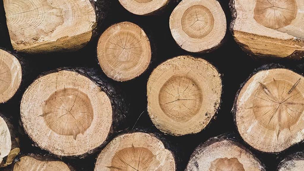 Clasificación de la Calidad de la Madera