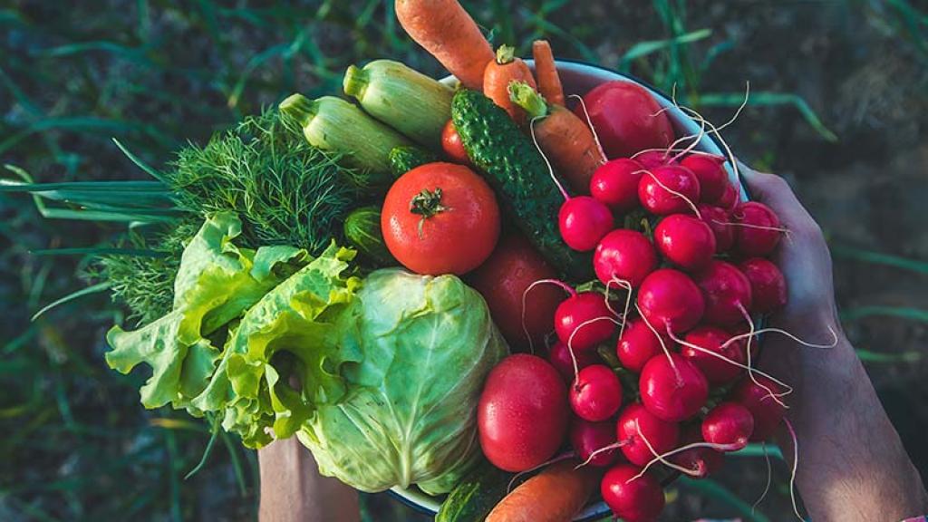 Superalimentos Mexicanos (Mexican Hyperfoods)